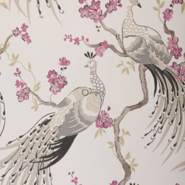 papel pintado pájaro del paraíso gris pardo y morado berenjena