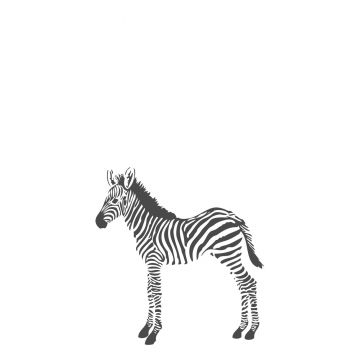 fotomural zebra blanco y negro